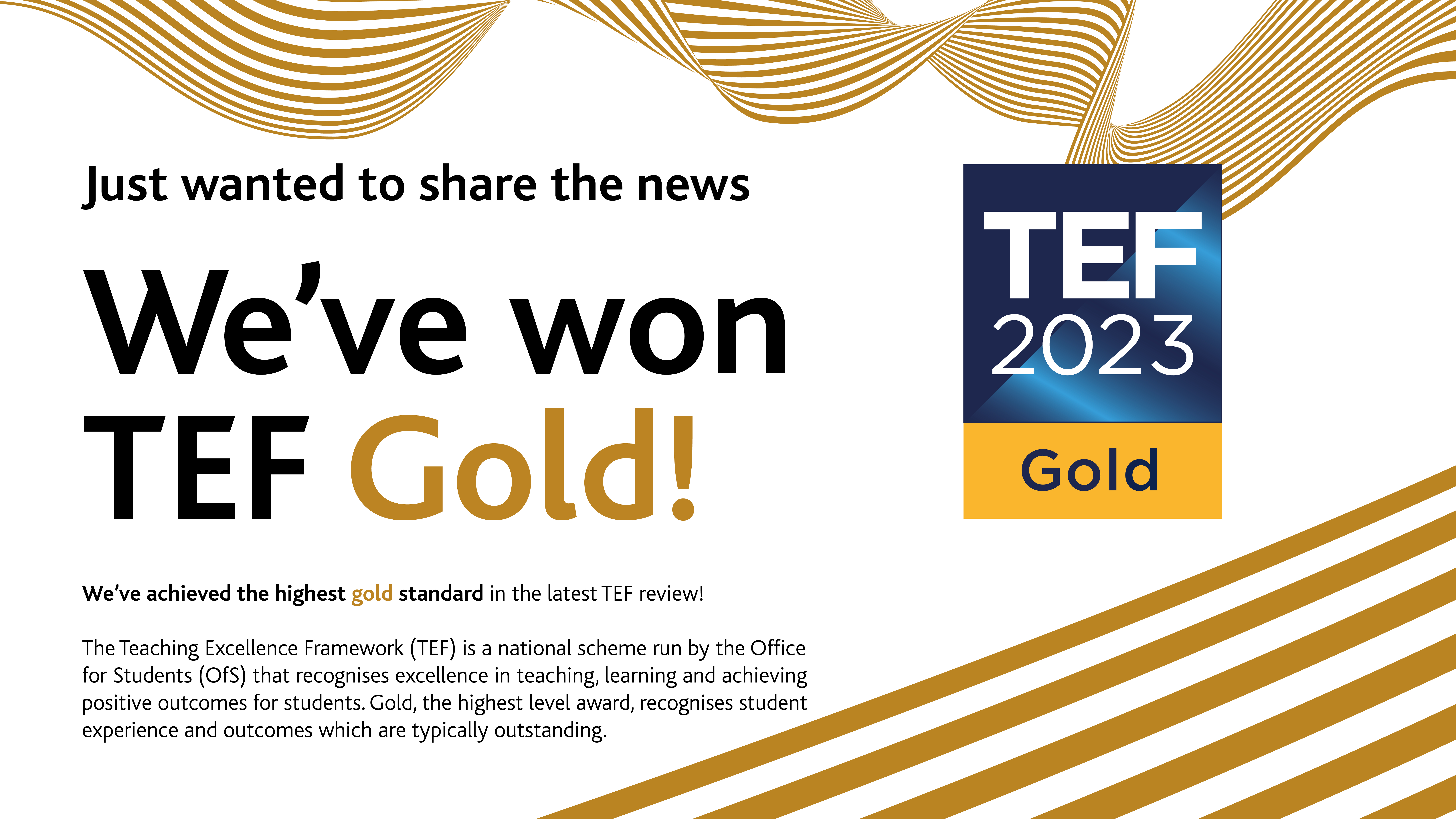 We've won TEF Gold slide