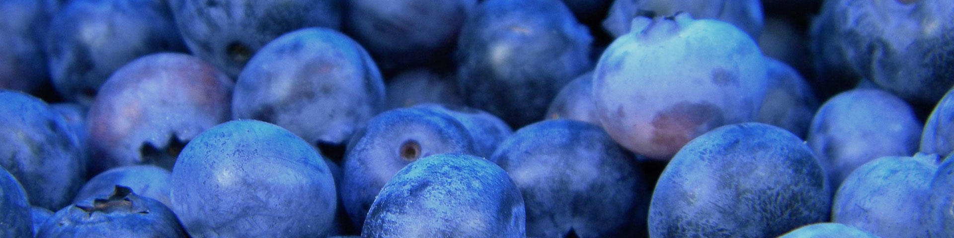 blueberries