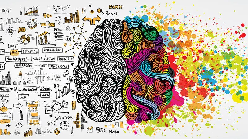 sketched image of a brain