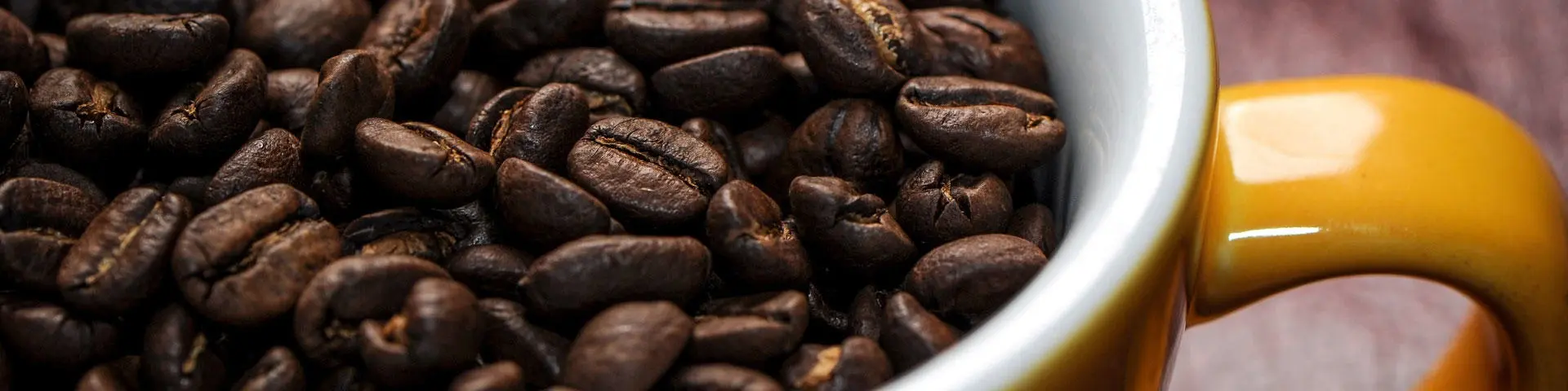 latte-levy-banner2