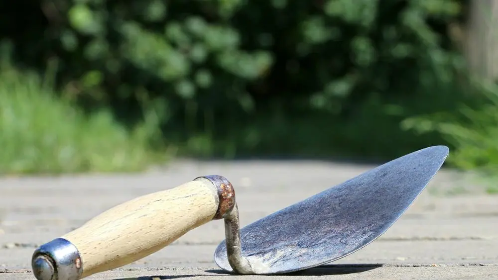 Archaeology trowel
