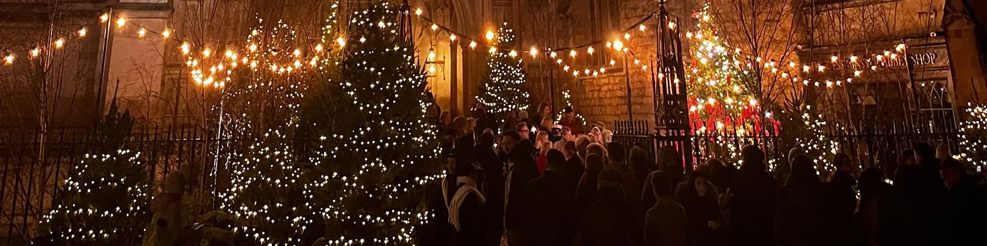 Decorated Christmas trees outside Westminster Abbey