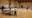 Students playing racket sports in the sports hall